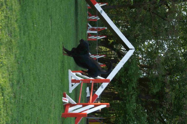 agility 2011-04